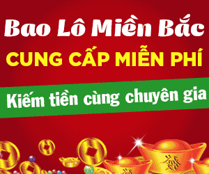Banner giữa result table 2