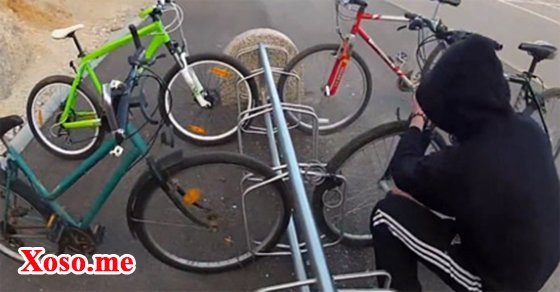 Mơ thấy ăn cắp xe đạp – Chiêm bao thấy ăn cắp xe đạp đánh con gì?
