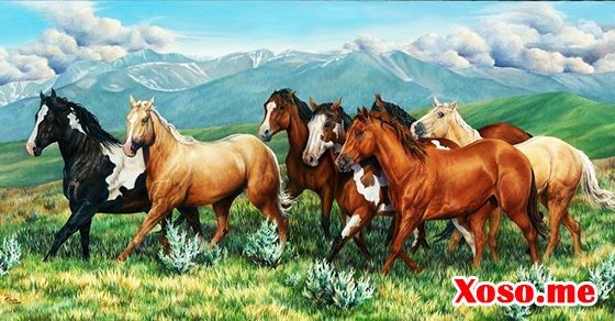Mơ thấy ngựa - Giải mộng chiêm bao thấy ngựa đánh con gì?