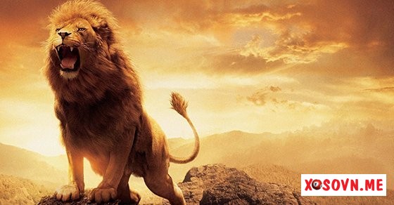 Mơ thấy sư tử – Giải mộng chiêm bao thấy sư tử là điềm báo gì?