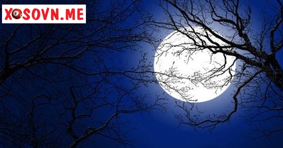 Mơ thấy trăng – Chiêm bao thấy trăng đánh con gì?