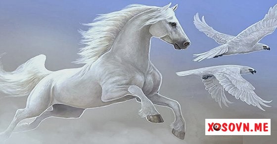 Nếu mơ thấy con ngựa trắng là vận may đến với bạn