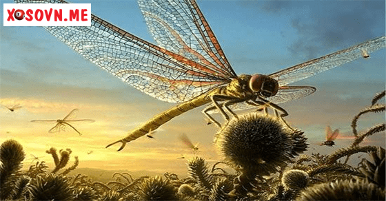 Điềm báo giấc mơ lạc vào thế giới côn trùng khổng lồ
