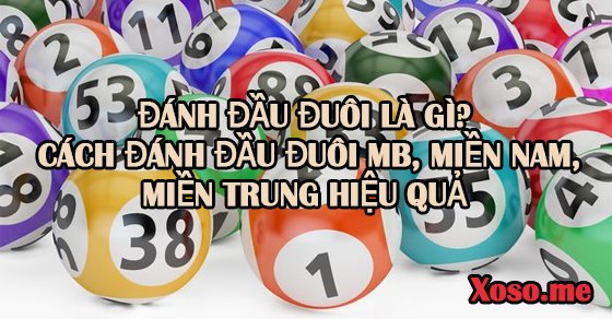 đầu đuôi là gì