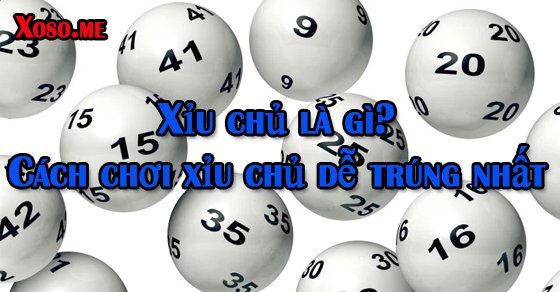 xỉu chủ là gì